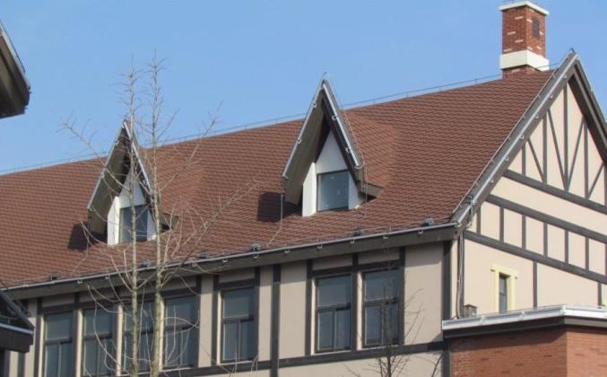 迪斯卡维多彩玻纤沥青油毡瓦屋面建筑应用图